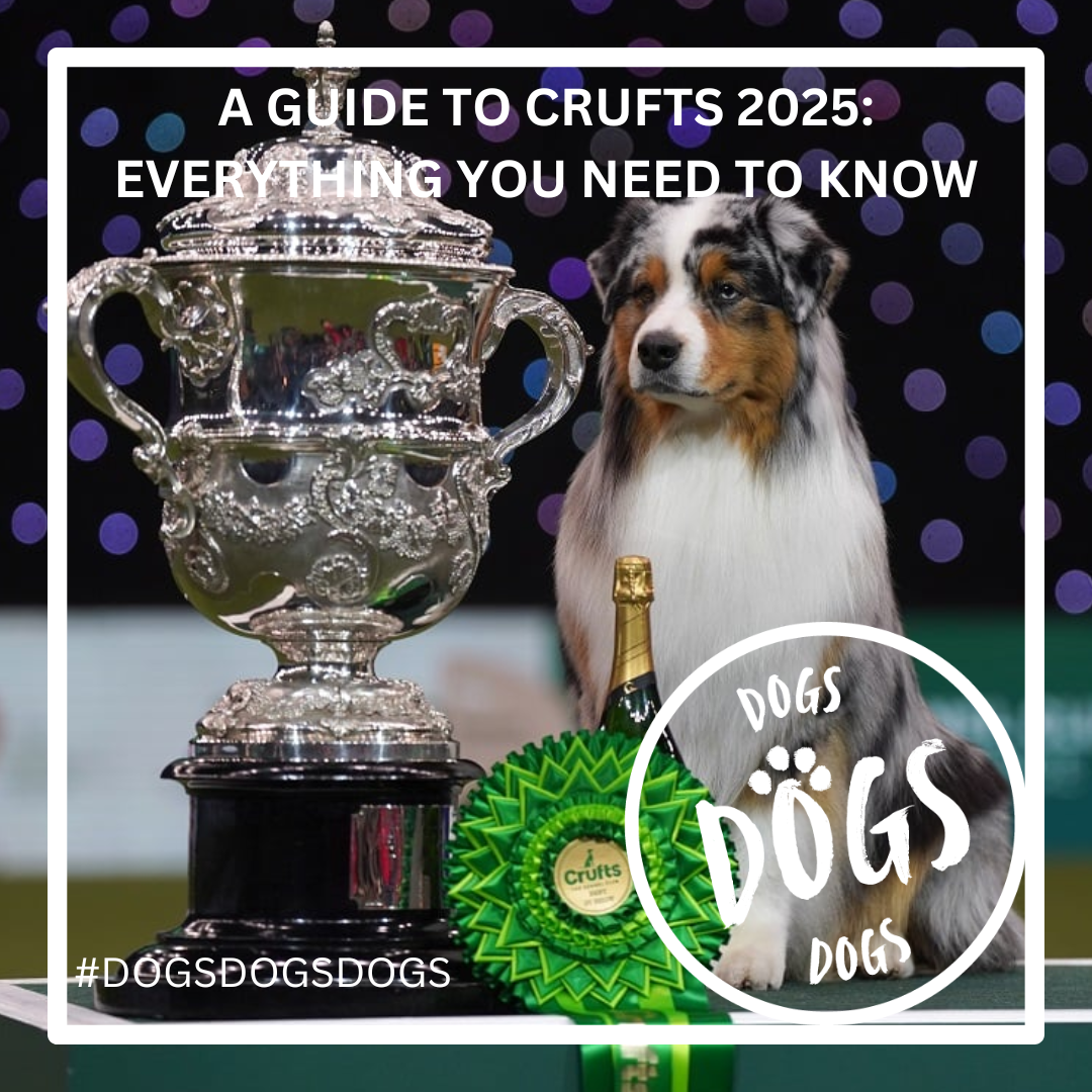 A Guide to Crufts 2025: Everything You Need to Know