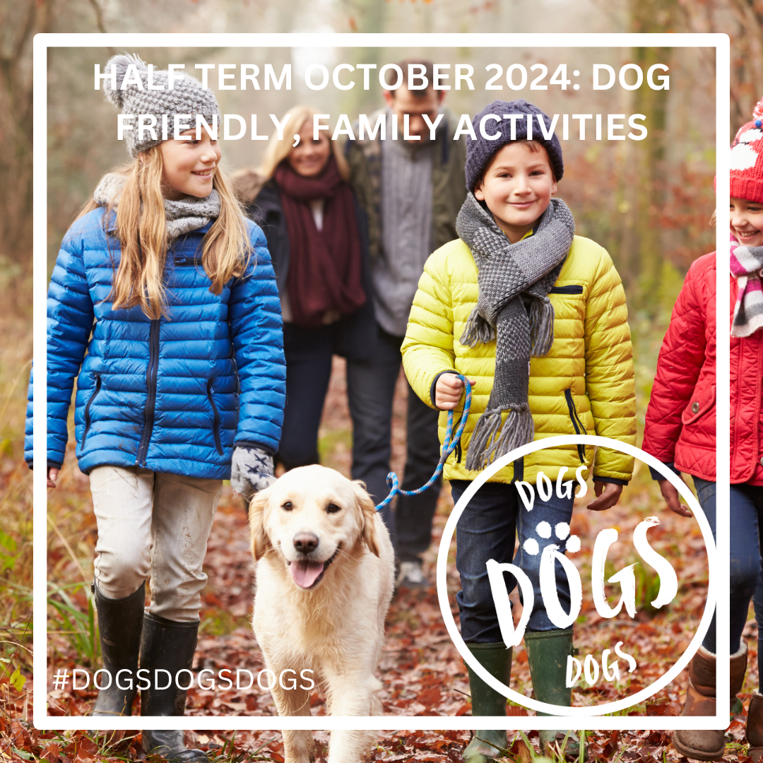 October 2024 Half-Term: Dog-Friendly Family Activities in the UK