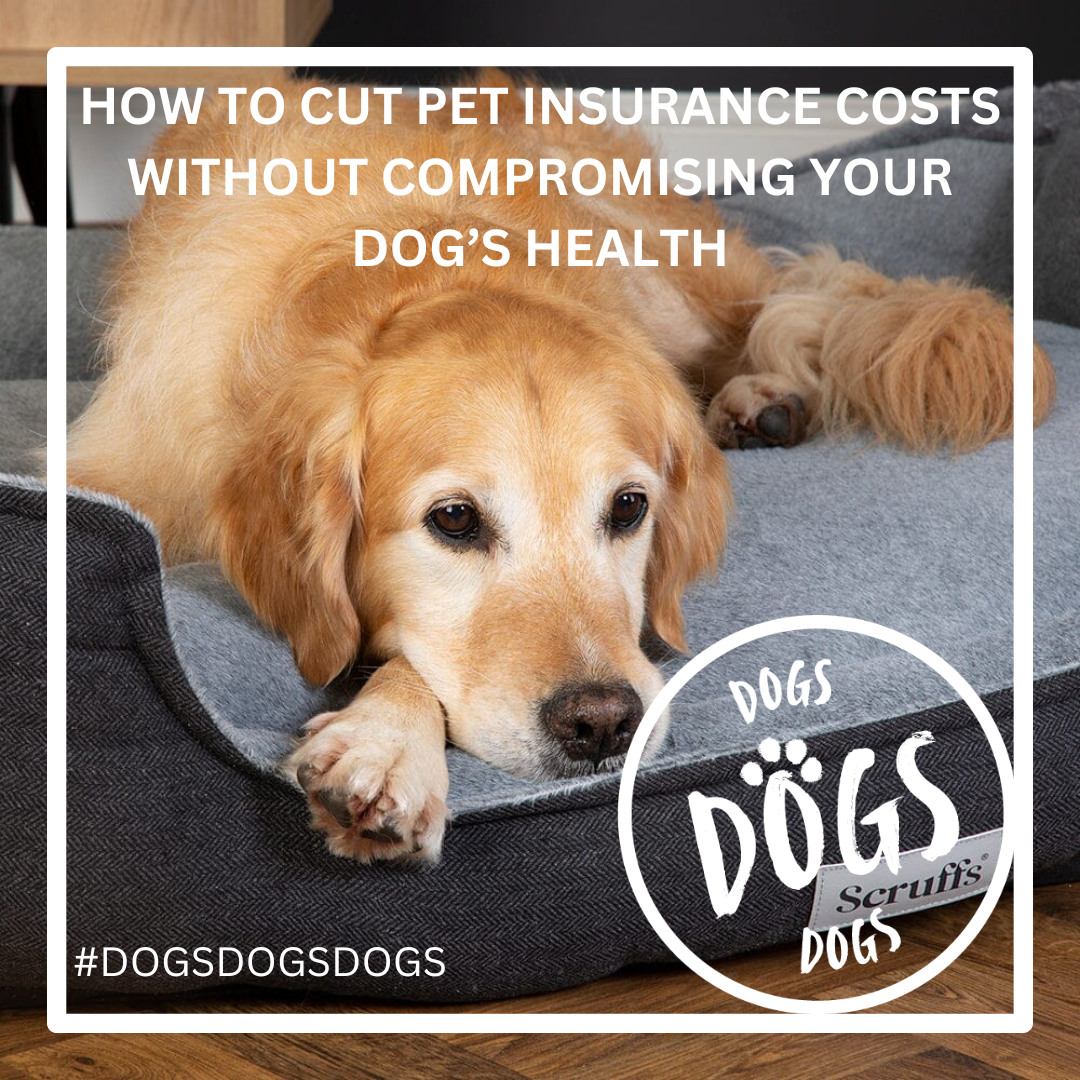 How to Cut Pet Insurance Costs Without Compromising Your Dog’s Health