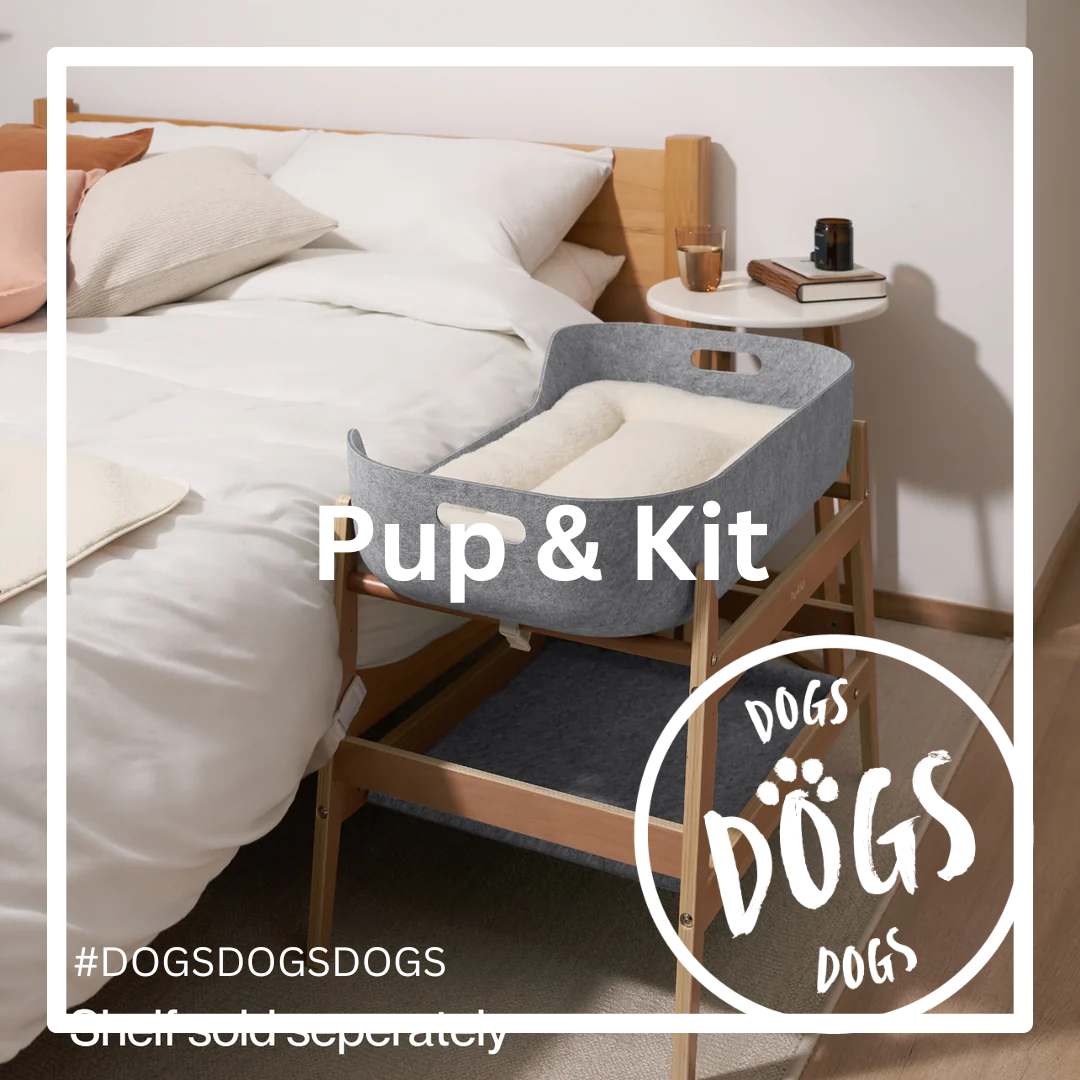 Discover the Quality of Pup & Kit: Now Available at Dogs Dogs Dogs!