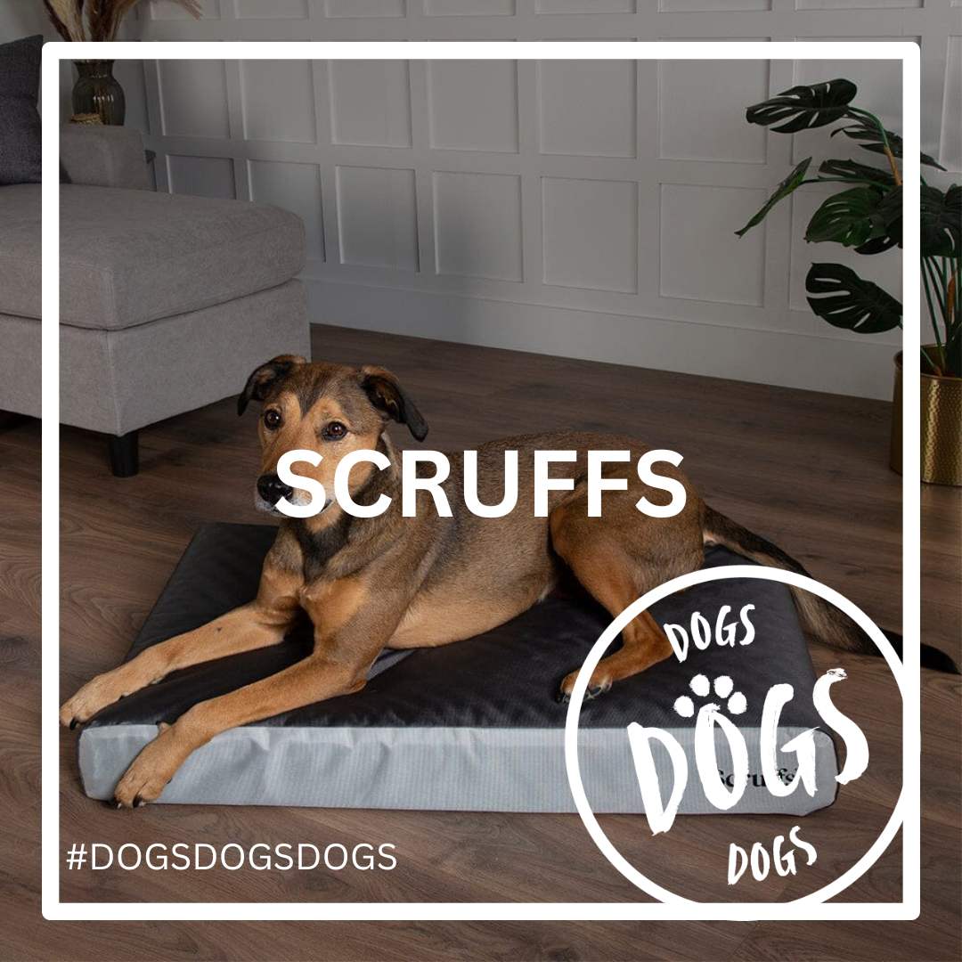 Welcome to Scruffs - A top notch collection of dog products