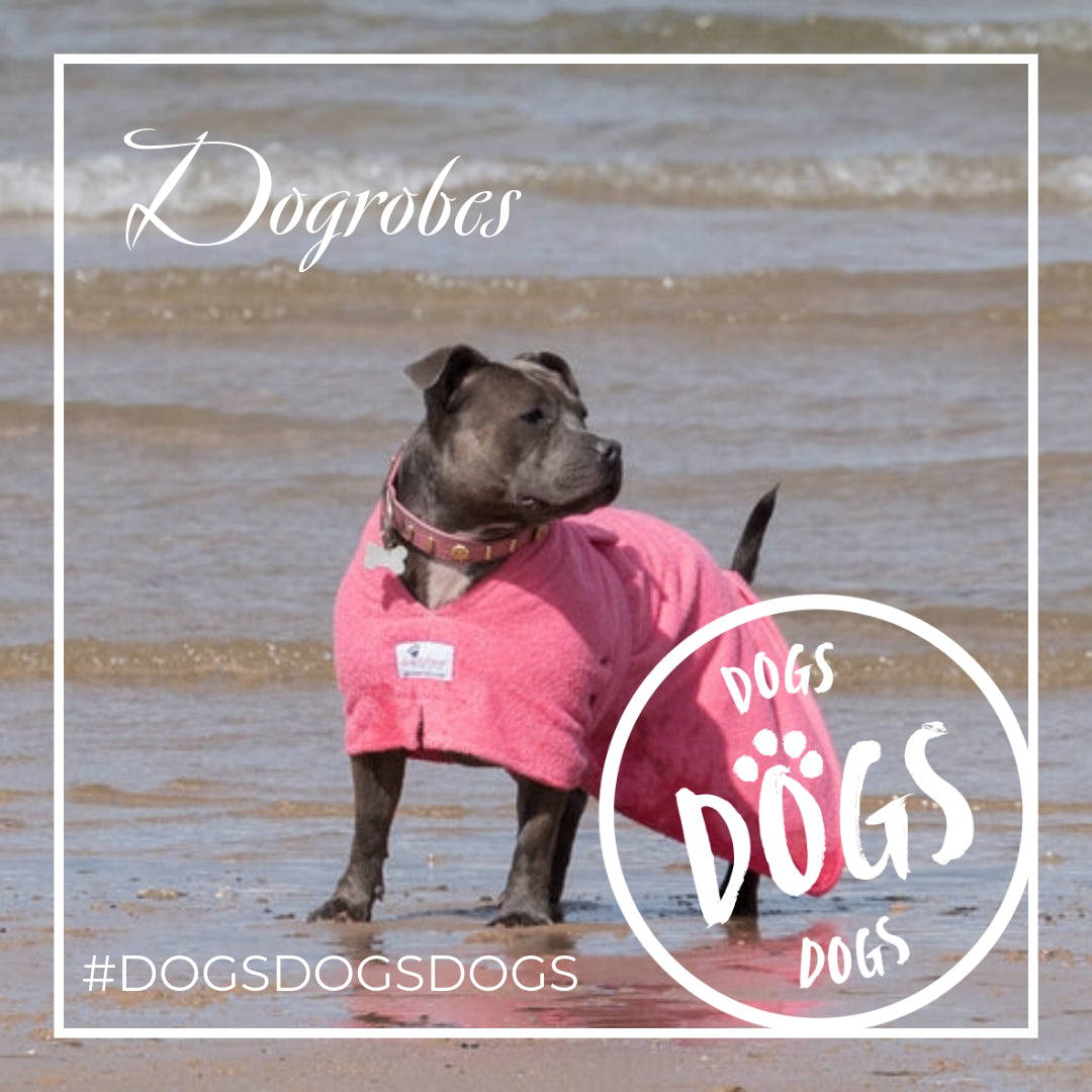 Introducing Dogrobes: The Perfect Solution for Keeping Your Pup Warm and Dry