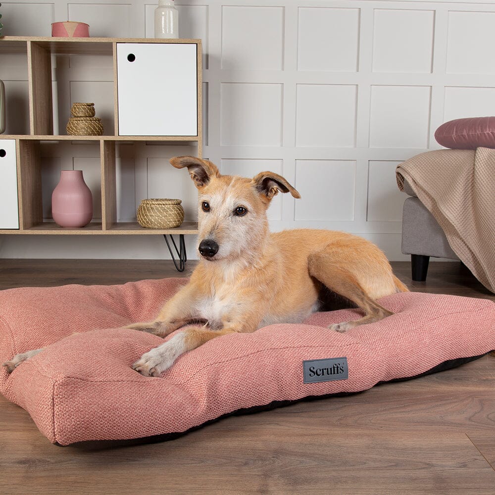 Seattle Mattress - Coral Pink Dog Bed Scruffs® Large (100cm x 70cm / 39" x 27.5") 