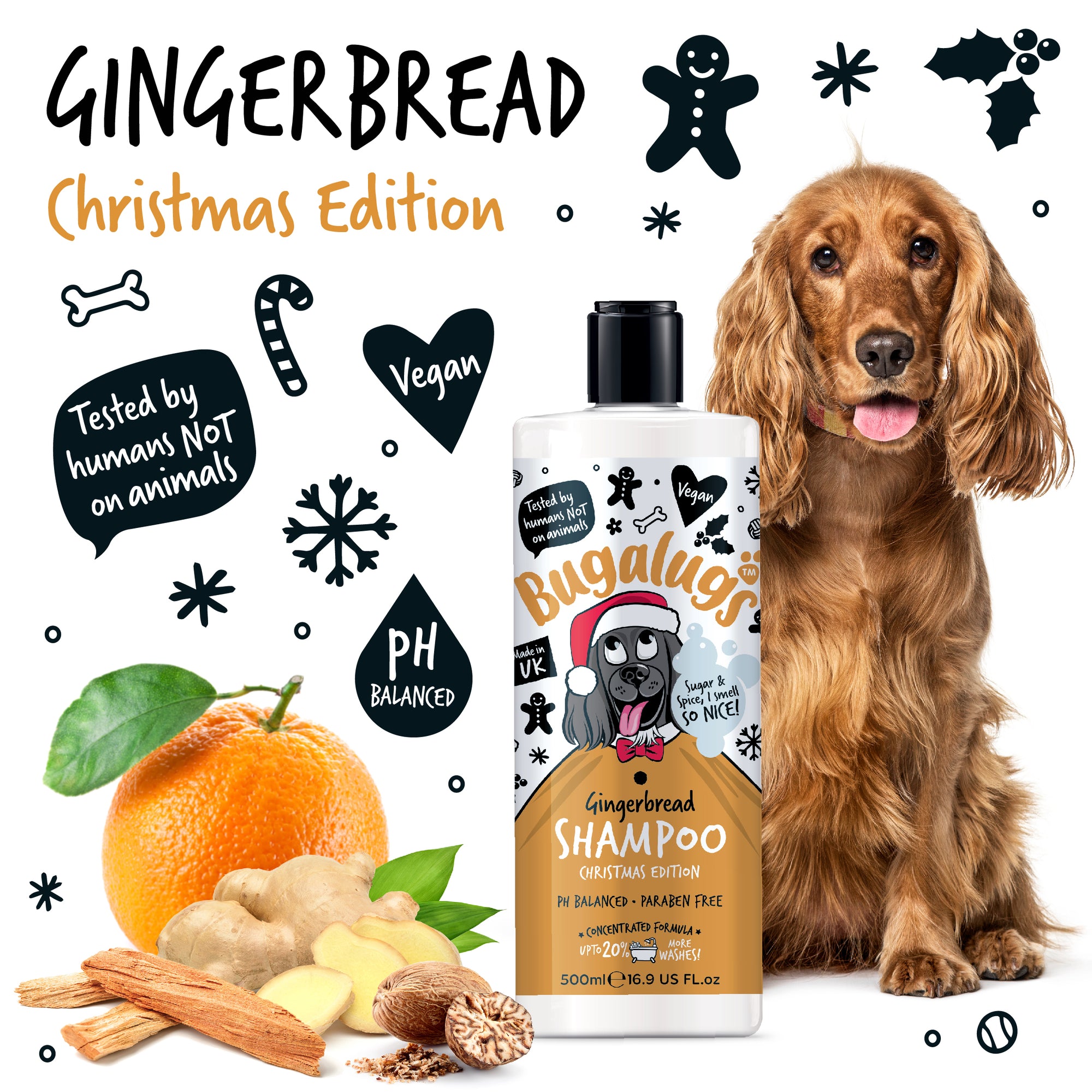 Bugalugs Christmas Edition Gingerbread Shampoo