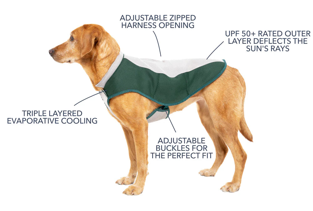 Ruff and Tumble Dog Cooling Coat