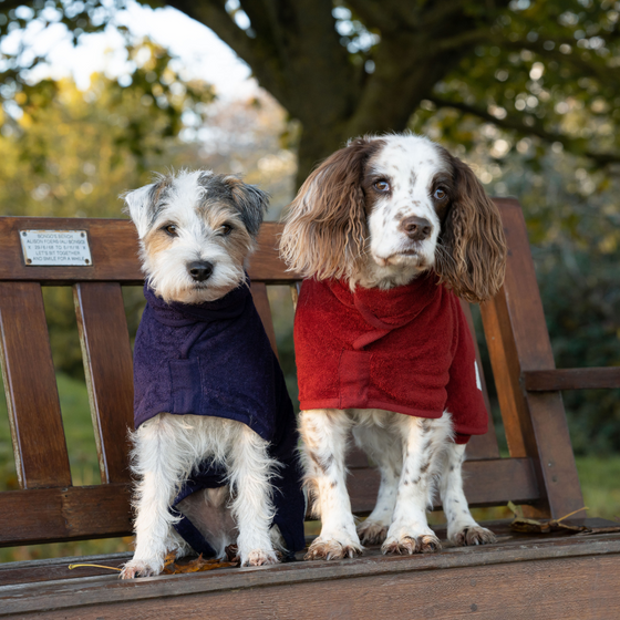 Ruff and Tumble Dog Drying Coats Keep Your Dog Warm Dry