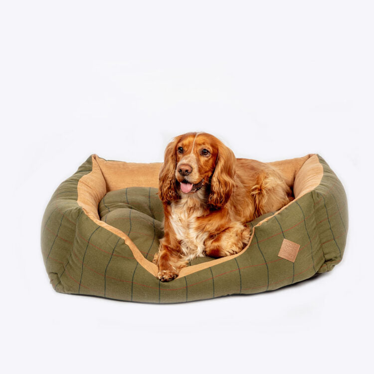 Green Tweed Snuggle Bed