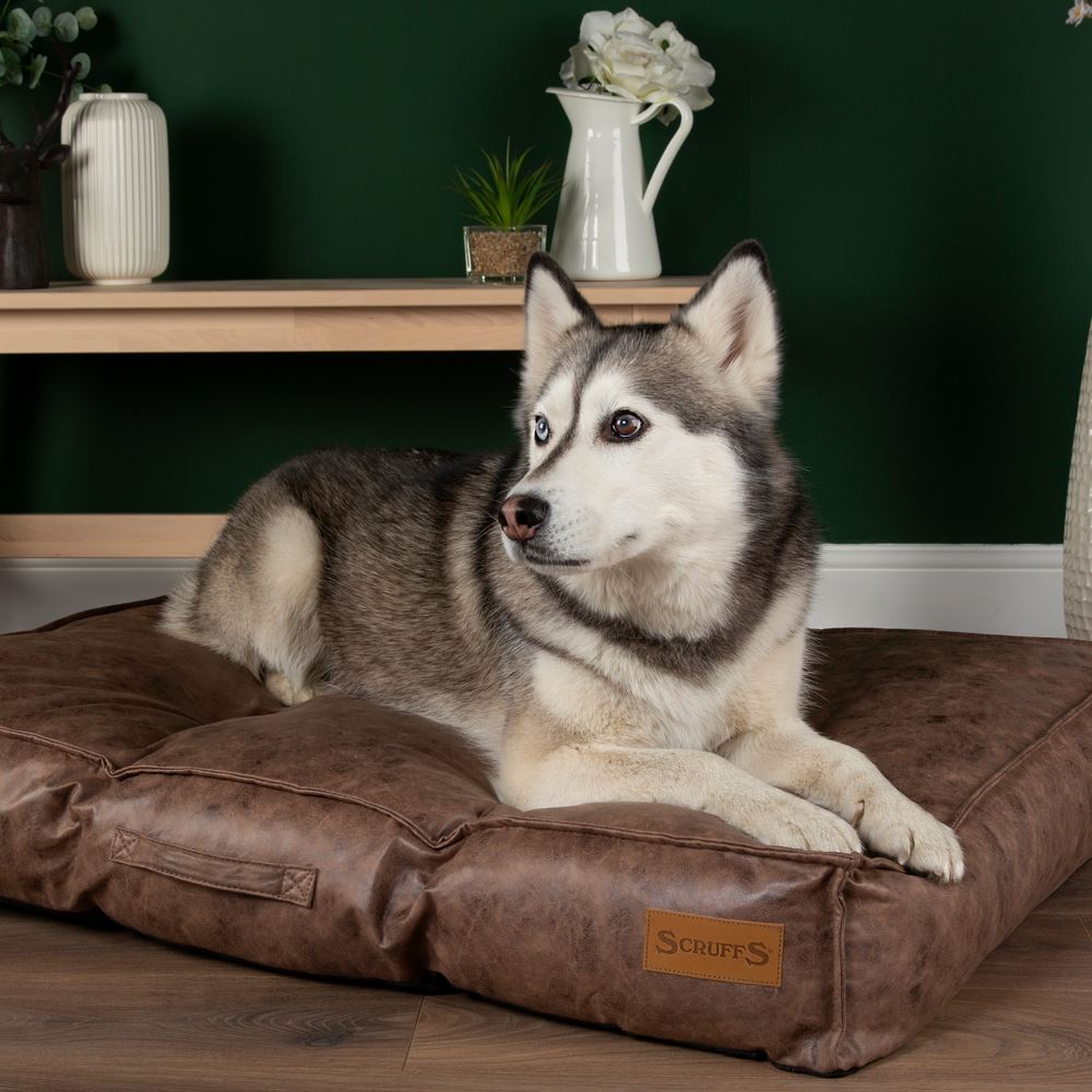 Knightsbridge Mattress - Chocolate Dog Bed Scruffs® 