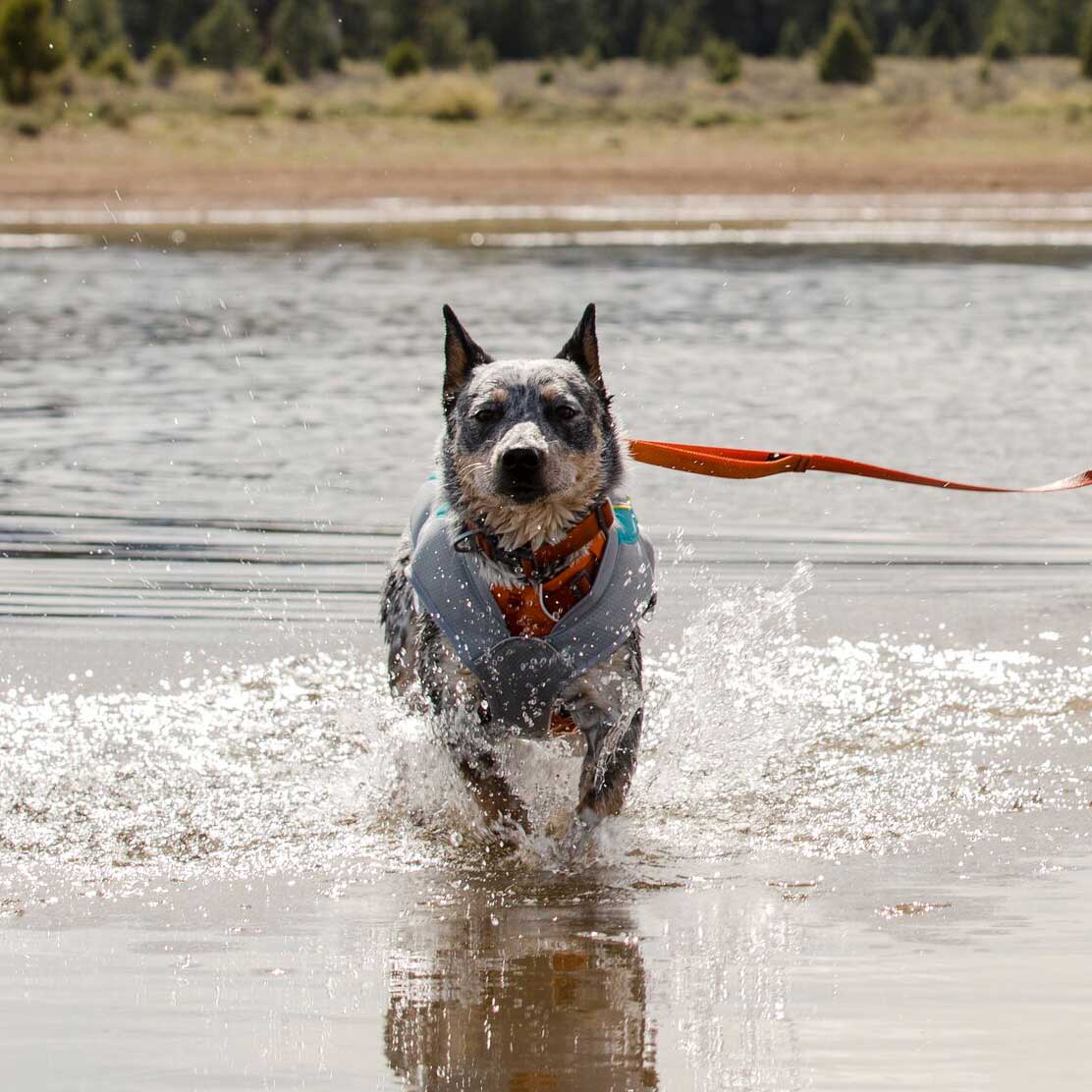 Ruffwear Swamp Cooler Cooling Vest