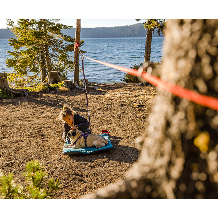 Ruffwear Knot a Hitch