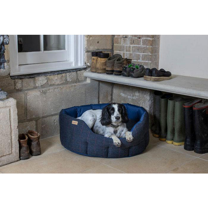 Earthbound store dog bed